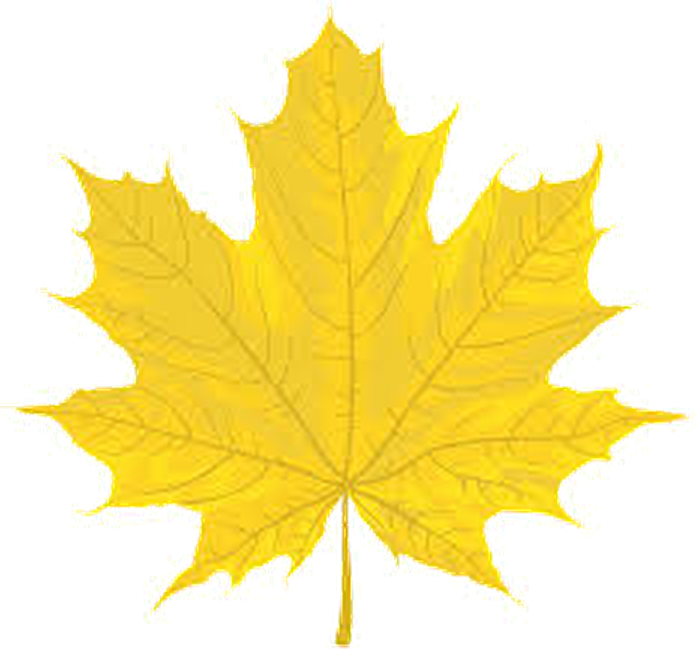 YellowLeaf.ai Logo